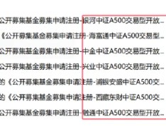 已有46家基金公司布局中证A500指数：国泰基金A500ETF规模278亿元同类最大，国金基金9.85亿元规模最小(名单)